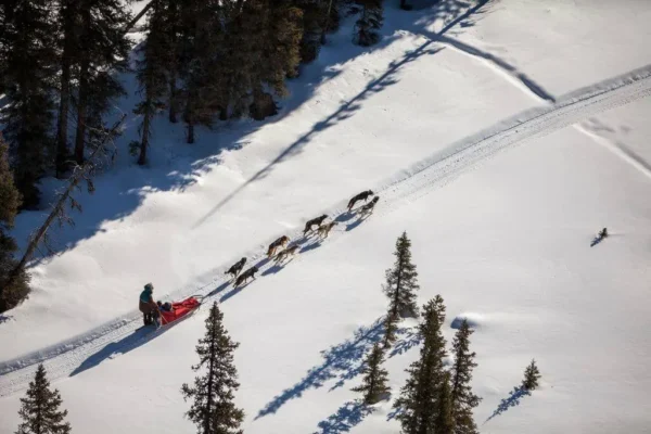 Kingmik Dog Sled Tours
