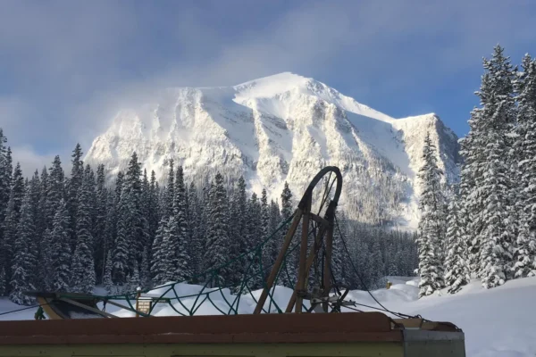 Kingmik Dog Sled Tours
