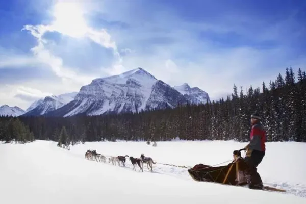 Kingmik Dog Sled Tours