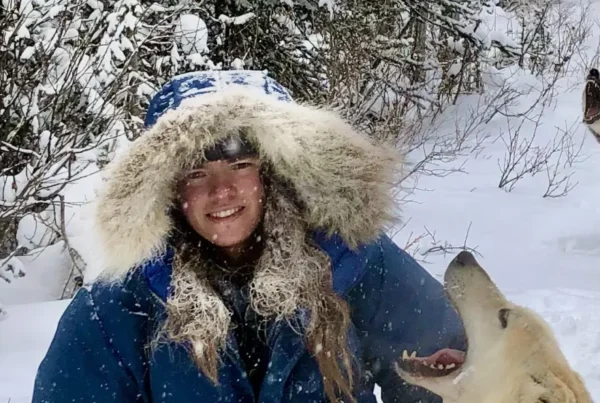 Kingmik Dog Sled Tours