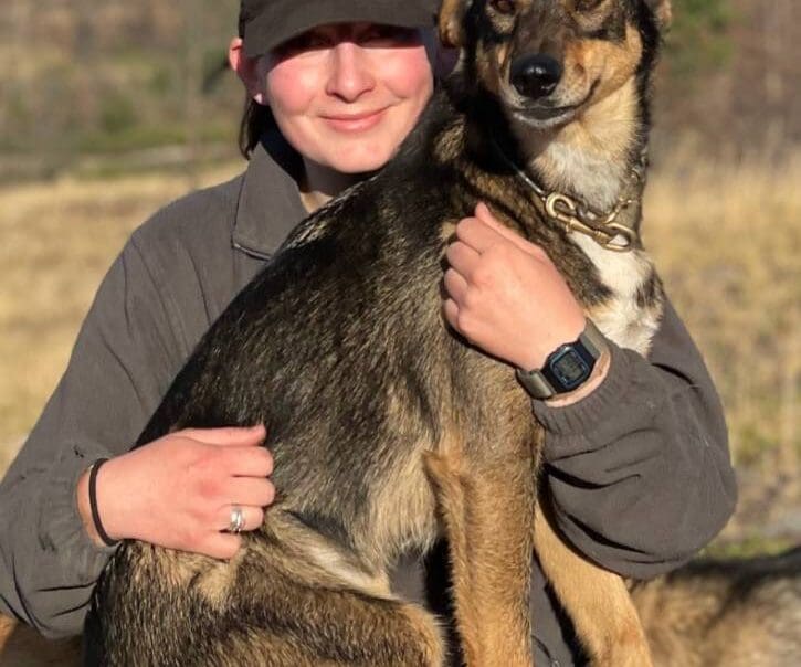 Kingmik Dog Sled Tours