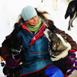 Kingmik Dog Sled Tours